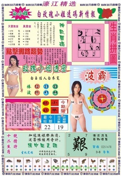 濠江精选B